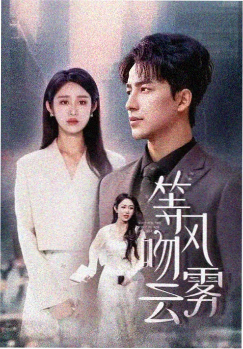 长夜将明 电视剧免费观看